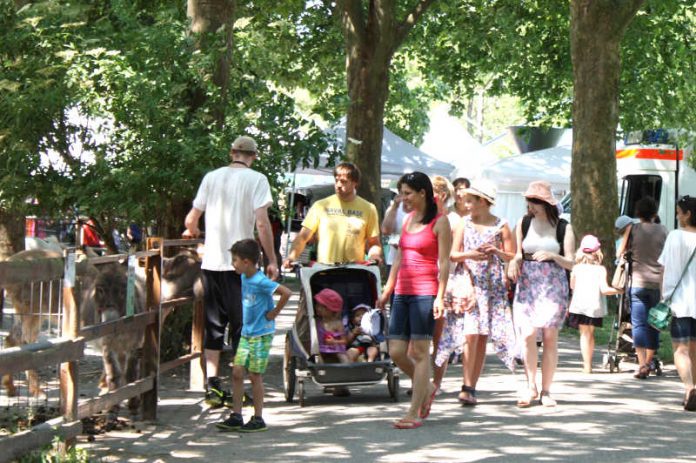 Der Tiergarten Worms lädt zum Flanieren während des zweitägigen Sommerfestes ein. (Foto: Freizeitbetriebe Worms GmbH) Der Tiergarten Worms lädt zum Flanieren während des zweitägigen Sommerfestes ein. (Foto: Freizeitbetriebe Worms GmbH)