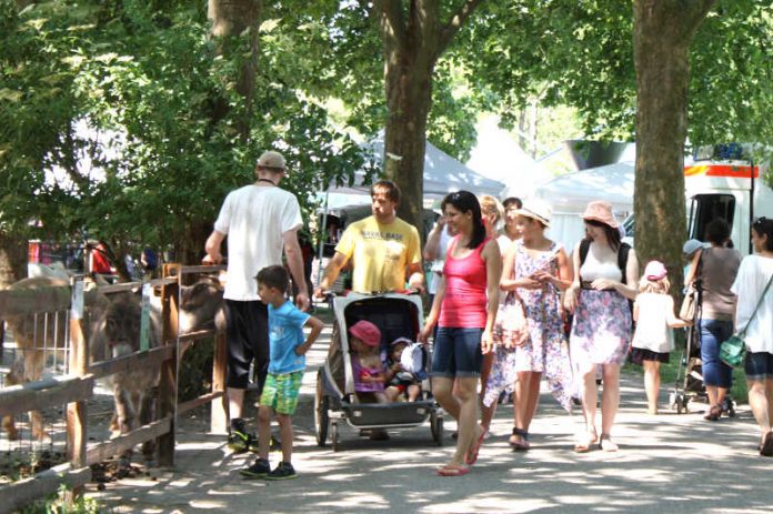 Der Tiergarten Worms lädt zum Flanieren während des zweitägigen Sommerfestes ein. (Foto: Freizeitbetriebe Worms GmbH)