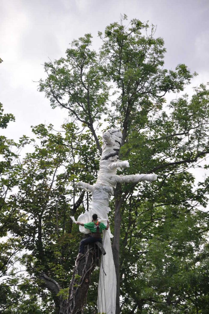 Umwickelter Baum, Ausstellung