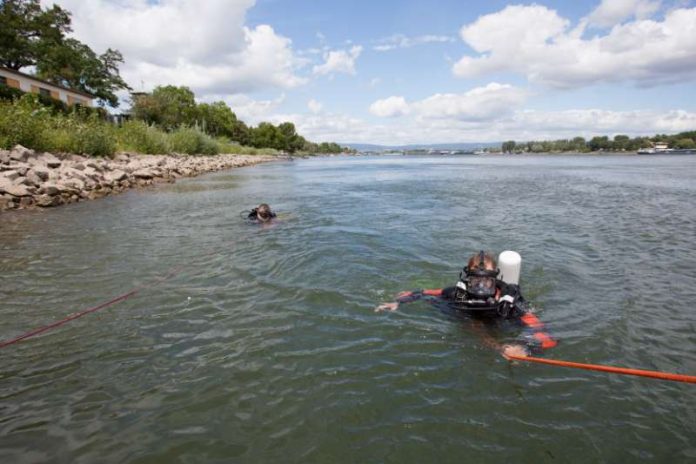 Taucher im Rhein (Foto: Feuerwehr Mainz)