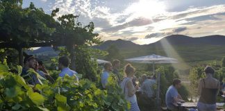 Ilbesheimer Kalmitfest (Foto: Vereinigung Gast und Wein Ilbesheim)