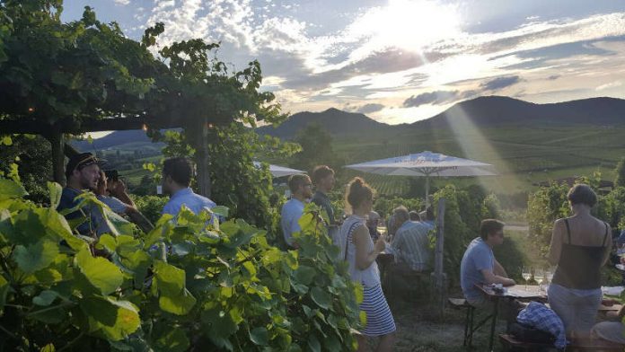 Ilbesheimer Kalmitfest (Foto: Vereinigung Gast und Wein Ilbesheim) Ilbesheimer Kalmitfest (Foto: Vereinigung Gast und Wein Ilbesheim)