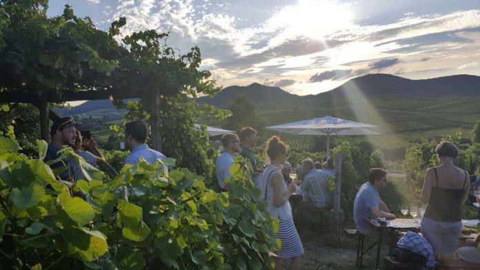 Ilbesheimer Kalmitfest (Foto: Vereinigung Gast und Wein Ilbesheim)