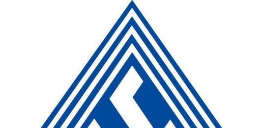 Logo (Quelle: SV Waldhof Mannheim)