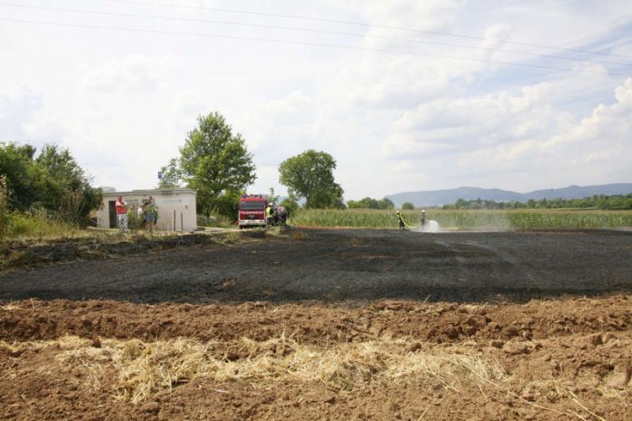 Der betroffene Stoppelacker (Foto: Feuerwehr Neustadt)