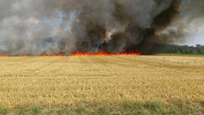 Flächenbrand - Einsatz der Feuerwehr Bruchsal