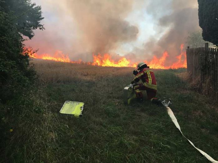 Ein Flächenbrand stellt die Feuerwehr immer vor Herausforderungen Ein Flächenbrand stellt die Feuerwehr immer vor Herausforderungen