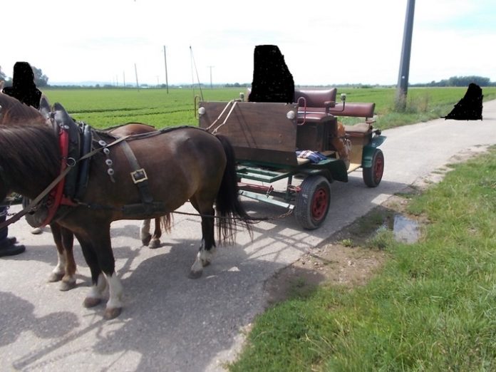 Kutsche Kutsche