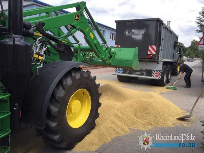 Aus dem großen Anhänger des landwirtschaftlichen Gefährts 