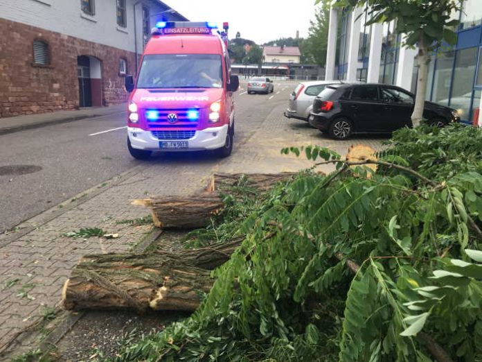 Eine heftige Sturmböe sorgt für einen Feuerwehr-Einsatz (Foto: Sebastian Singer)