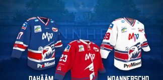 Die neuen Trikots (Quelle: Adler Mannheim)