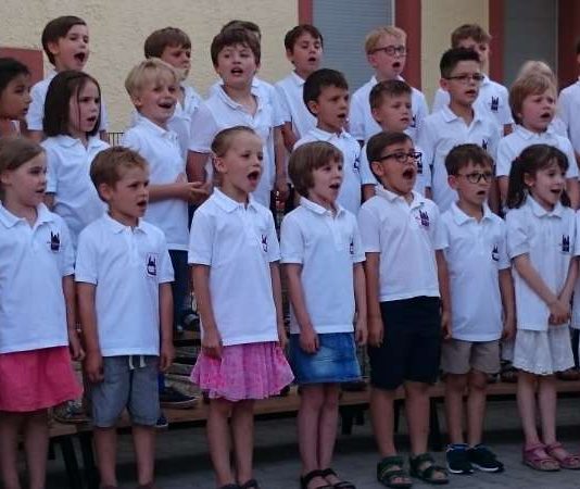 Junge Sängerinnen und Sänger der C-Chöre der Dommusik gestalteten im Juni 2017 ein Sommerkonzert im Innenhof der Klosterschule in Speyer. (Foto: Dommusik)