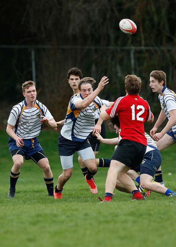 Rugby Symbolbild Symbolbild (Foto: Pixabay.com)