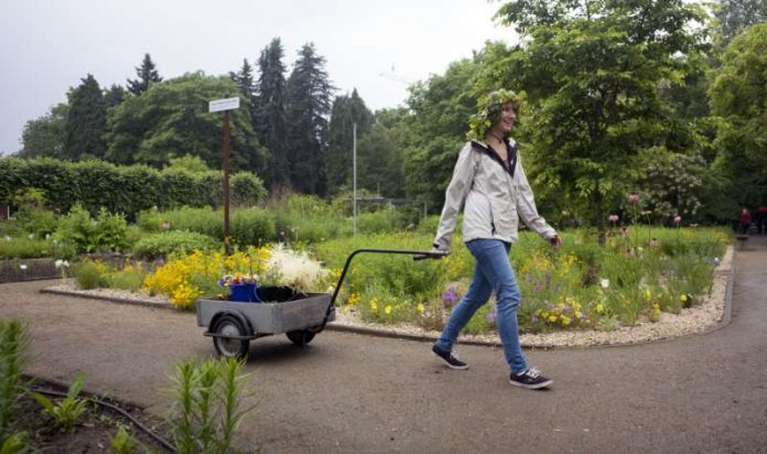 Zum Sommerfest im Botanischen Garten trägt man selbst geflochtene Blütenkränze. (Foto: Stefan F. Sämmer / JGU)