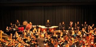 Junge Philharmonie Neckartal-Odenwald (Foto: Orchester)