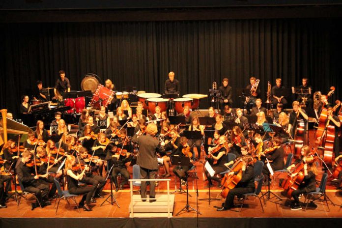 Junge Philharmonie Neckartal-Odenwald (Foto: Orchester)