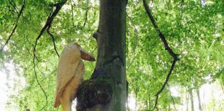 Der Monsterspecht von F.K. Waechter (Foto: Stefan Cop)