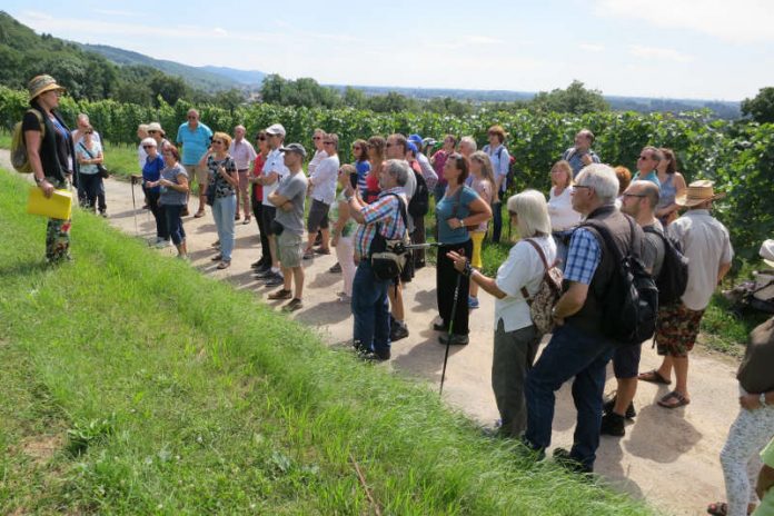 Pia Keßler-Schül erläutert den ‚Badenblick‘ (Foto: Kreisstadt Heppenheim)