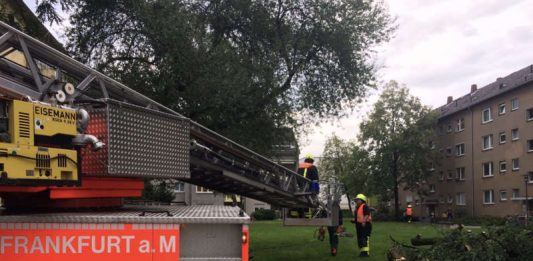 Eine der unzähligen Einsatzstellen. (Foto: Feuerwehr Frankfurt)