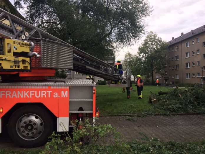 Eine der unzähligen Einsatzstellen. (Foto: Feuerwehr Frankfurt)