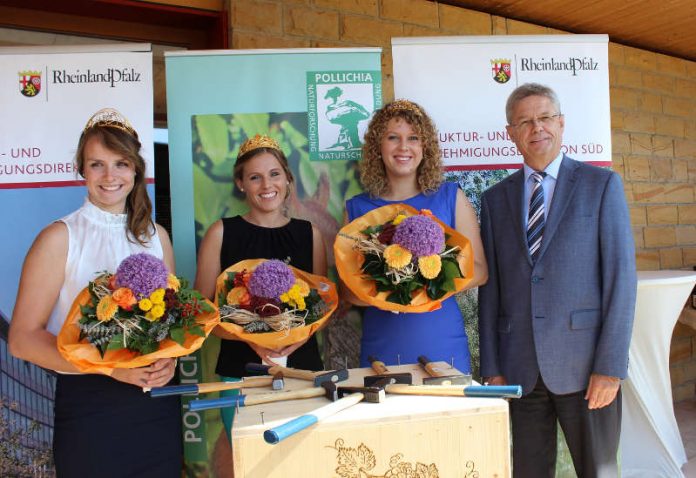 v.l.: Deutsche Weinkönigin Lena Endesfelder, Rheinhessische Weinkönigin Laura Lahm, Pfälzische Weinkönigin Anastasia Kronauer, SGD Süd-Präsident Hans-Jürgen Seimetz (Foto: SGD Süd)