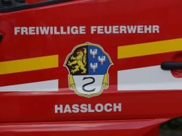 Symbolbild, Feuerwehr, Haßloch, Wappen