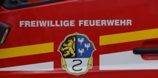 Symbolbild, Feuerwehr, Haßloch, Wappen