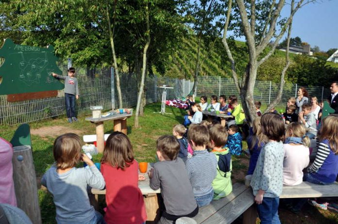 Grünes Klassenzimmer Grünes Klassenzimmer