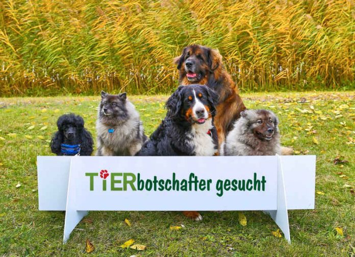 TIERisch gut und Zoo Karlsruhe suchen Tierbotschafter. (Foto: KMK/Jürgen Rösner)