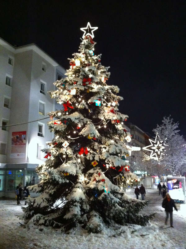 Weihnachtsbaum (Foto: LUKOM)