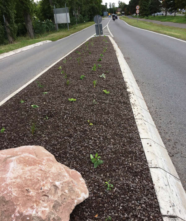 Die Fahrbahnteiler am Badepark-Kreisel haben eine Frischzellenkur erhalten (Foto: Gemeindeverwaltung Haßloch)