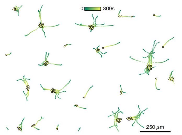 physik_KOMET_kolloidale_molekuele