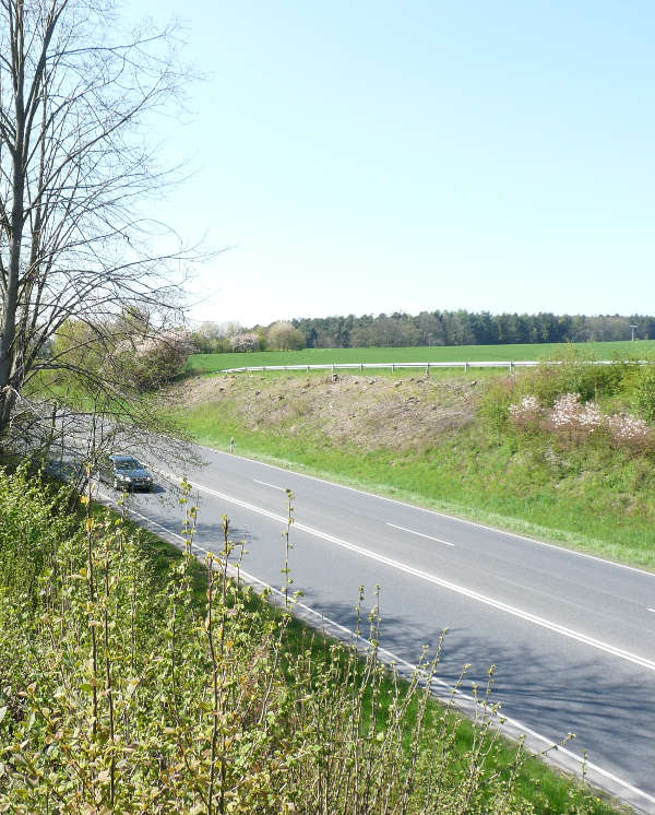 Das Bild ist im Mai 2016 nach den Gehölzpflegearbeiten im Zuge der B 254 bei Fulda entstanden. Auf einer Länge von 50 Metern wurden die Gehölze auf den Stock gesetzt. Im rechten Bildabschnitt liegen die Gehölzpflegearbeiten zwei Jahre zurück. (Foto: Hessen Mobil)