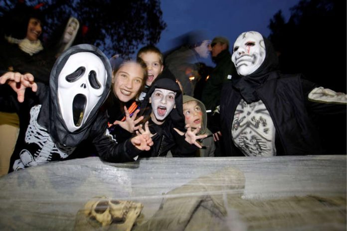 Mannheim. Luisenpark. Halloween. Der amerikanische Brauch wird auch in Deutschland immer häufiger zelebriert und ist schon fester Bestandteil im Veranstaltungskalender im Luisenpark. Schaurig schöne Gruselfratzen. (Foto: Markus Proßwitz / masterpress / images4.de)