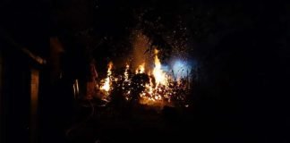 Zwei Gartenhütten brannten nieder (Foto: Feuerwehr Wiesbaden)