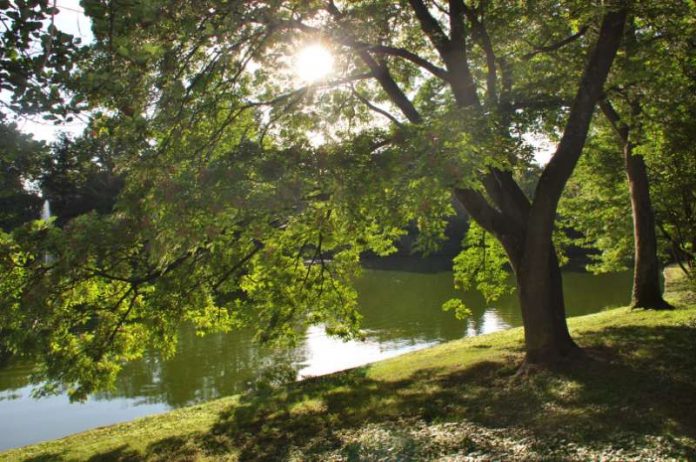 Der Ostpark in Landau. Mit Unterstützung des Städtebauförderprogramms „Investitionspakt Soziale Infrastruktur im Quartier“ soll seine positive Entwicklung weiter vorangebracht werden. (Foto: Stadt Landau in der Pfalz)