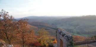 Moschellandsberg im Herbst (Foto: DTV)