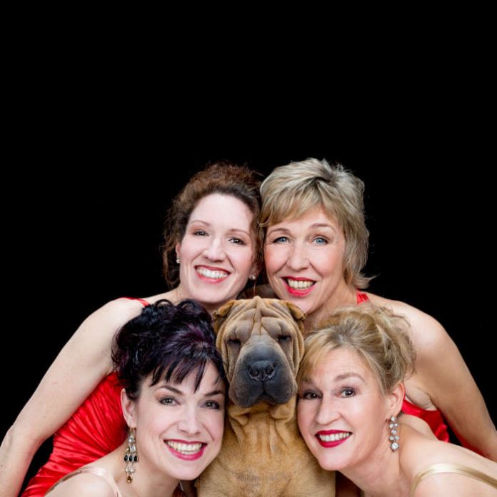 Schöne Mannheims (Foto: Schöne Mannheims) Schöne Mannheims (Foto: Schöne Mannheims)