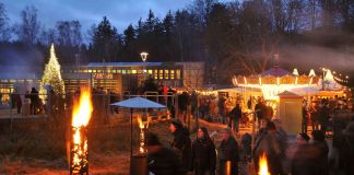 Waldweihnacht Johanniskreuz in der Dämmerung (Foto: Haus der Nachhaltigkeiten, Johanniskreuz)