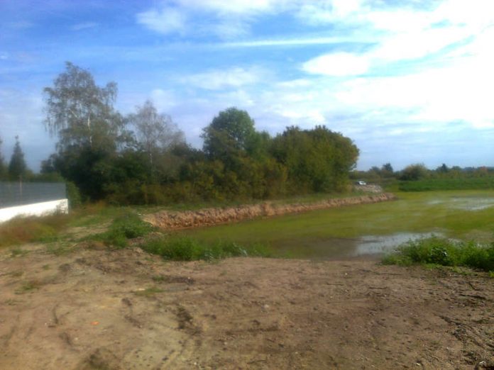 Blick von Süden auf die Fläche (Foto: Stadtverwaltung Neustadt)