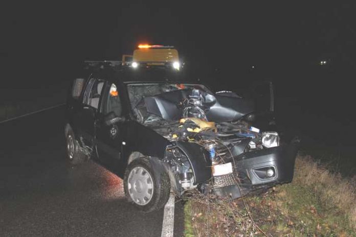Unfall durch Wild Unfall durch Wild