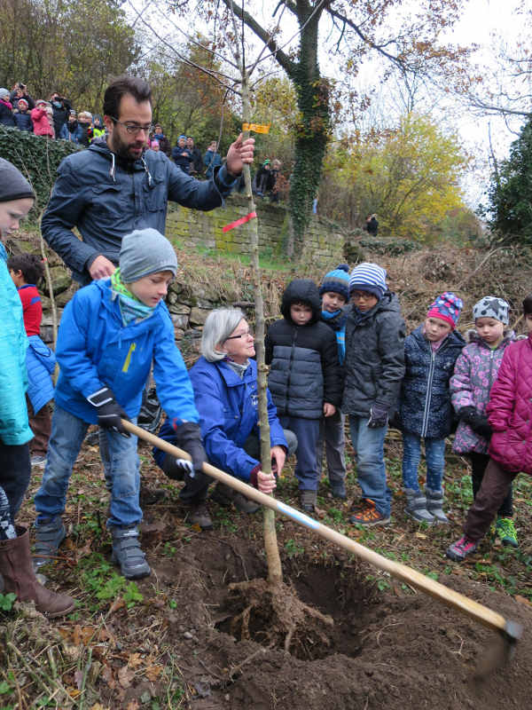 Die kleine, neue Streuobstwiese wird von den Kindern der Schöntalschule gepflegt. (Foto: Stadtverwaltung Neustadt)