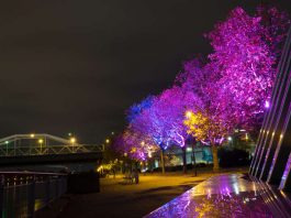 Neu am Rheinufer: beleuchtete Bäume, die interaktiv durch Bewegung von Passanten die Farbe verändern (Foto: Christian Volz)