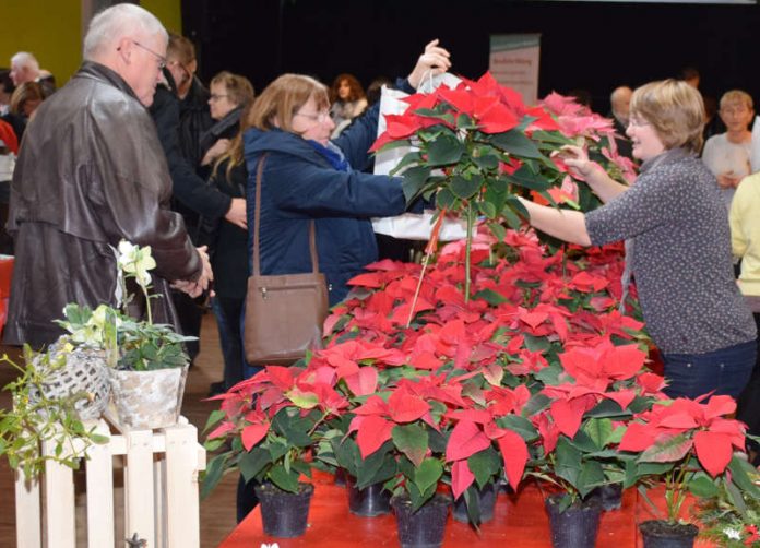 Ein beliebter Ort, sich mit Weihnachtssternen, Adventsdeko oder Geschenken einzudecken: der Weihnachtsmarkt der Johannes-Diakonie im Mosbacher fideljo. (Foto: Michael Walter)