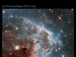 Sternentstehungsgebiet NGC 2174 (Foto: NASA/ESA)