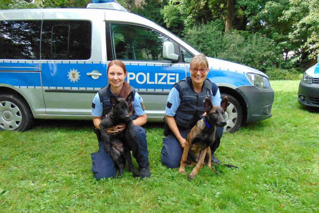 Die beiden Schäferhunde und ihre Diensthundeführerinnen (Foto: Polizei BW)