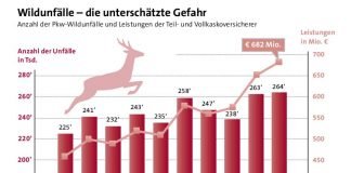 Grafik Wildunfälle 2016