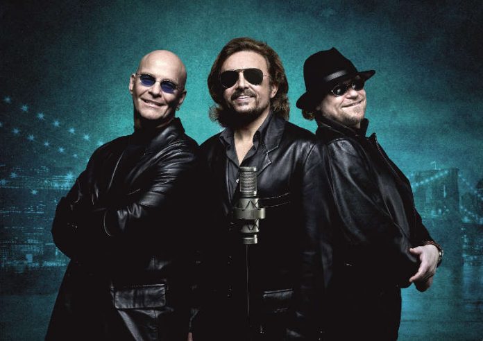 Night Fever – The Best of the Bee Gees (Foto: Künstler) Night Fever – The Best of the Bee Gees (Foto: Künstler)