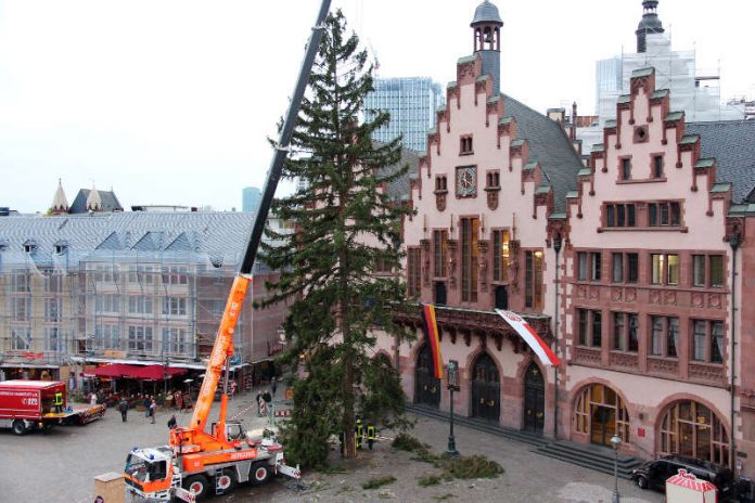 Weihnachtsbaumaufstellung vor dem Römer (Foto: Stadt Frankfurt / Stefan Maurer)