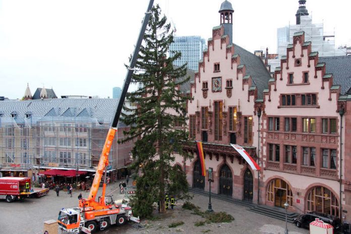 Weihnachtsbaumaufstellung vor dem Römer (Foto: Stadt Frankfurt / Stefan Maurer) Weihnachtsbaumaufstellung vor dem Römer (Foto: Stadt Frankfurt / Stefan Maurer)